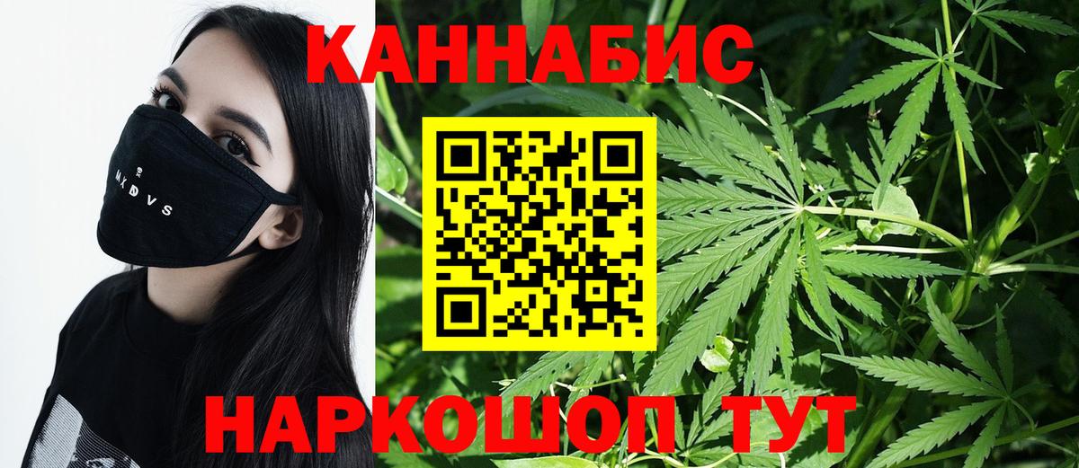Каннабис планчик  Вход с VPN  Каннабис марихуана  Можга  Канабис White Widow 